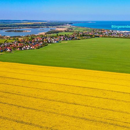 Villa Deichgraf 12 "Meerblick" Börgerende-Rethwisch Esterno foto