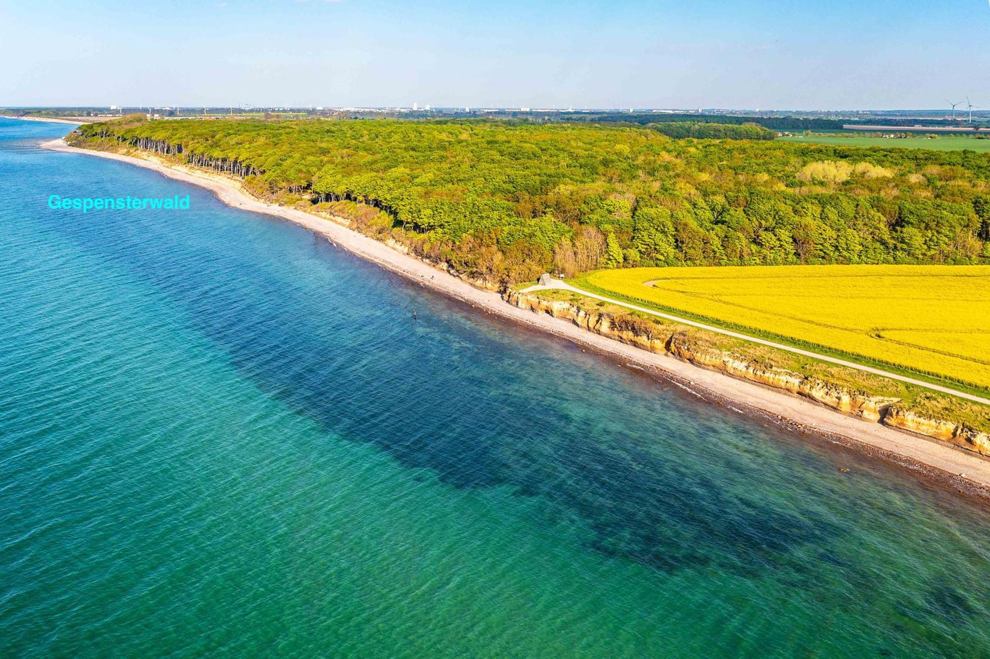 Villa Deichgraf 12 "Meerblick" Börgerende-Rethwisch Esterno foto