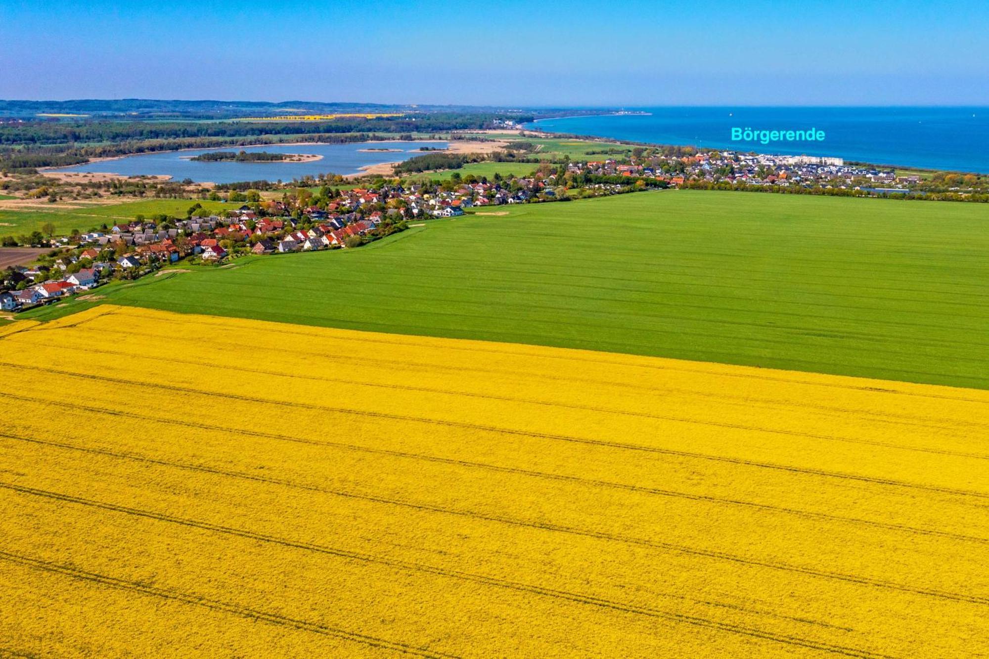 Villa Deichgraf 12 "Meerblick" Börgerende-Rethwisch Esterno foto